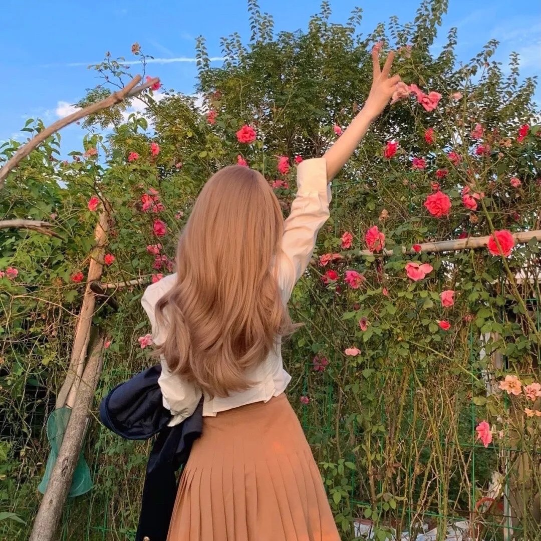 溏心风暴2:家好月圆国语